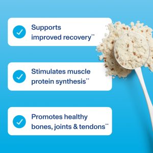 Vital Performance™ Protein Powder – Canister / Chocolate