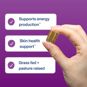 Beef Liver – Capsules – 120 Capsules – 750mg each